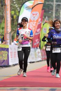 BIB: 0536, 47537
                            <button type="button" onclick="openModal(8222346)" class="btn btn-primary btn-sm float-right btn-popup" data-toggle="modal" data-target=".modal-high-quality">
                        <i class="fas fa-shopping-cart"></i> Add to Cart
                    </button>
                                            <button type="button" onclick="isThisMe(8222346, true)" class="btn btn-success btn-sm float-right btn-popup btn-isme hidden" data-toggle="tooltip" data-placement="bottom" title="นี่คือรูปของคุณใช่ไหม คลิกที่นี่เพื่อเอาเข้าอัลบั้ม">
                        <i class="fas fa-plus"></i> Add to album
                    </button>
                    <button type="button" onclick="isThisMe(8222346, false)" class="btn btn-warning btn-sm float-right btn-popup btn-isnotme hidden">
                        <i class="fas fa-ban"></i> Remove from album
                    </button>